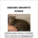Appello Urgente Smarrito Ronnie